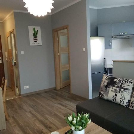 Apartament Edelmana Lejlighed Gorzów Wielkopolski Eksteriør billede
